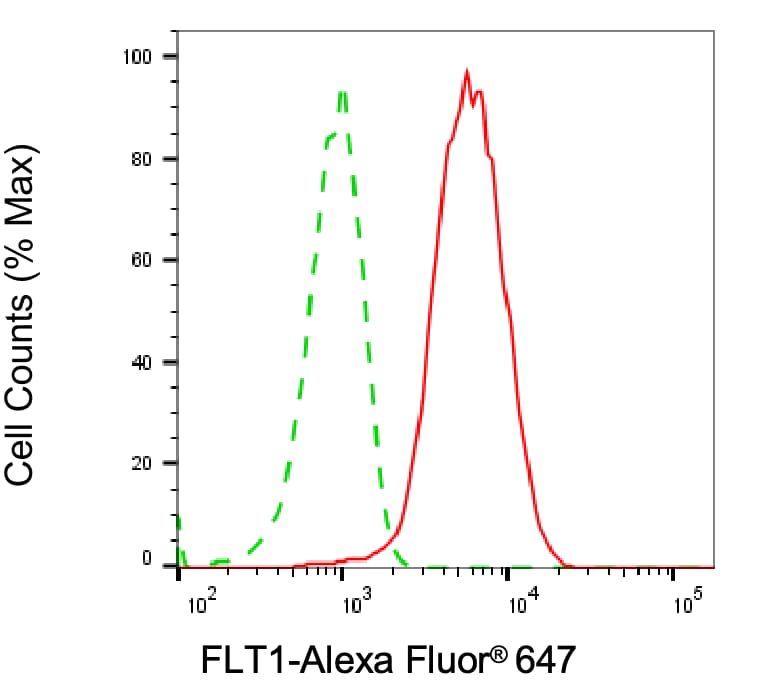 VEGFR1/Flt-1 Antibody (24GB7115)