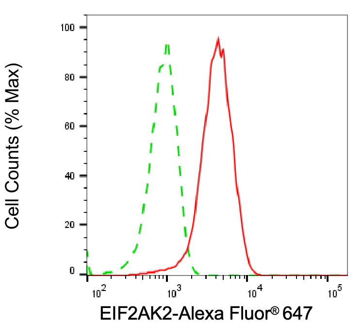 PKR Antibody (24GB7125)