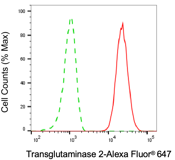Transglutaminase 2/TGM2 Antibody (24GB7130)