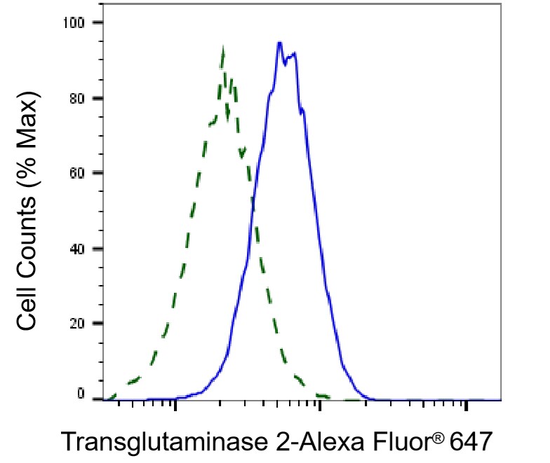 Transglutaminase 2/TGM2 Antibody (24GB7130)