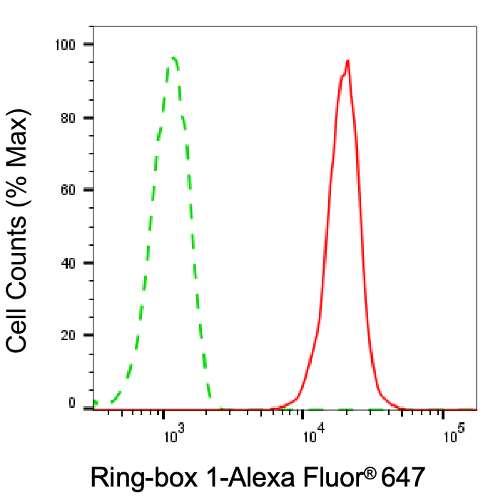 RBX1 Antibody (24GB7170)