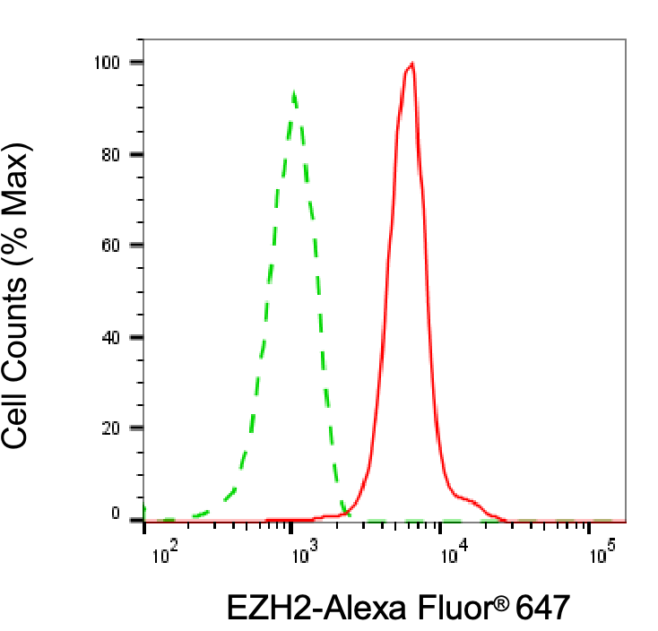 EZH2/KMT6 Antibody (24GB7200)