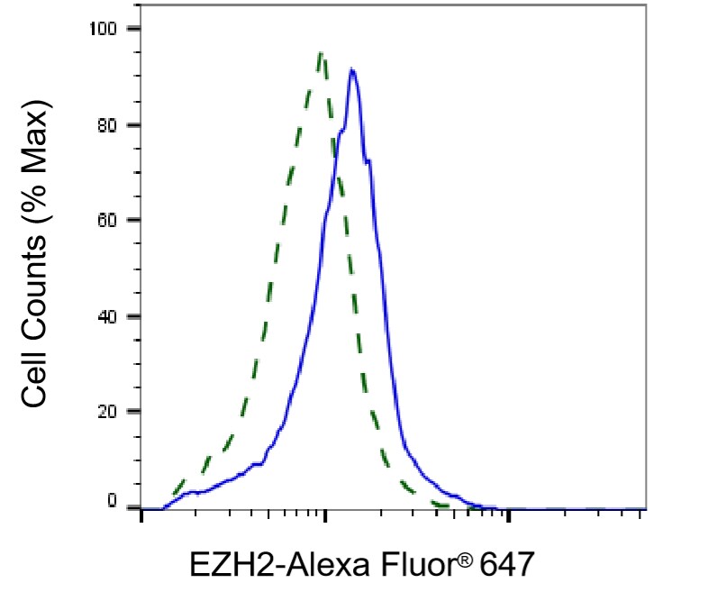 EZH2/KMT6 Antibody (24GB7200)