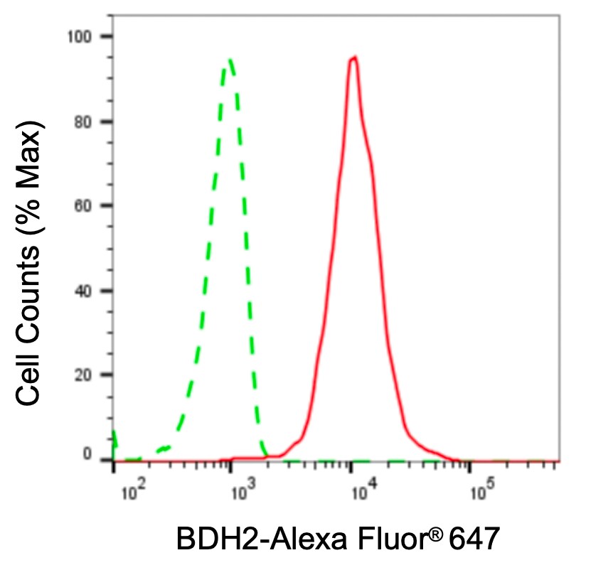BDH2 Antibody (24GB7910)
