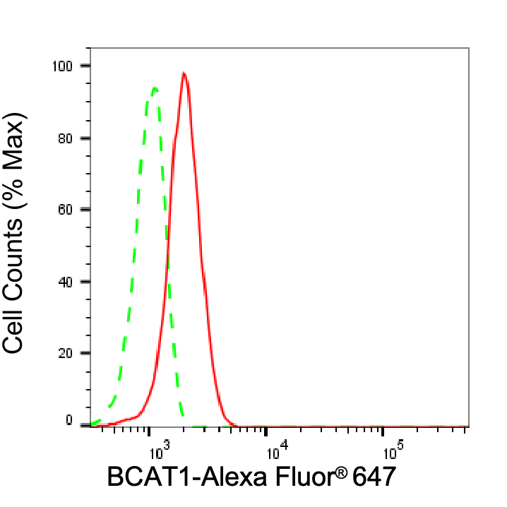 BCAT1 Antibody (24GB7945)