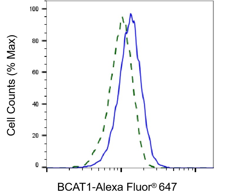 BCAT1 Antibody (24GB7945)