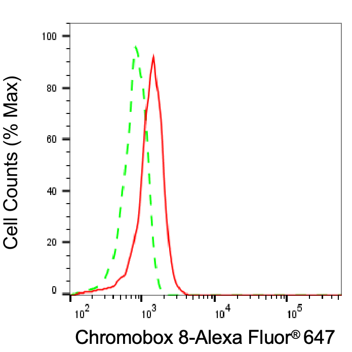 Cbx8 Antibody (24GB7980)