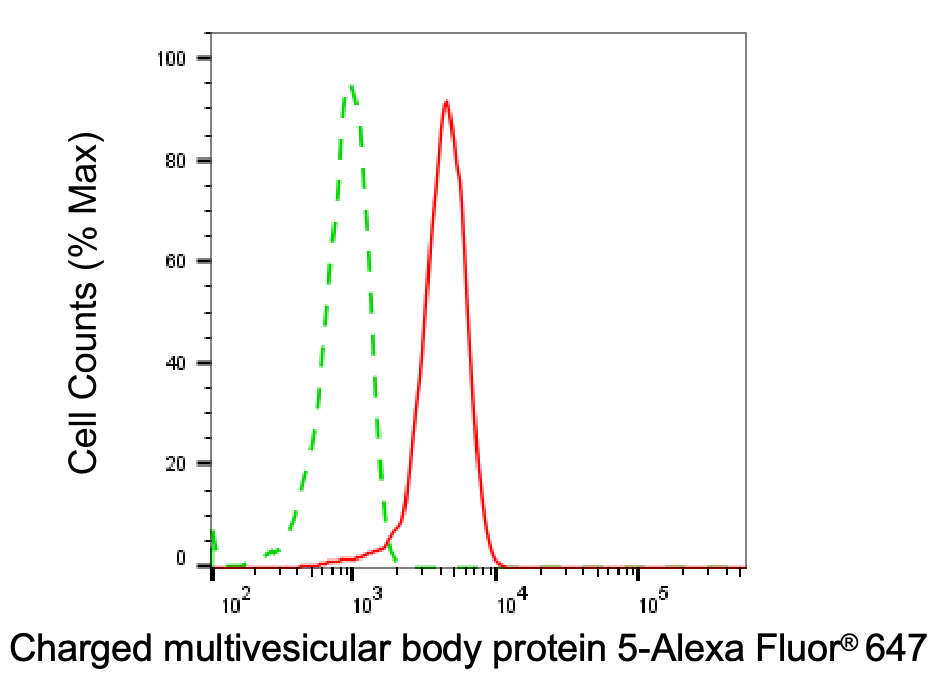 CHMP5 Antibody (24GB8030)
