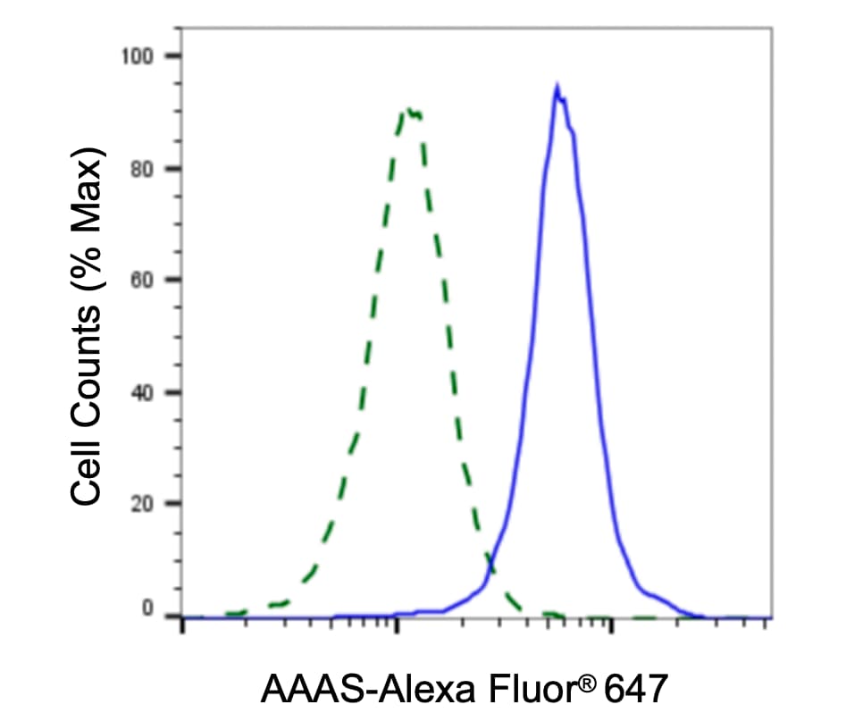 AAAS Antibody (24GB8035)
