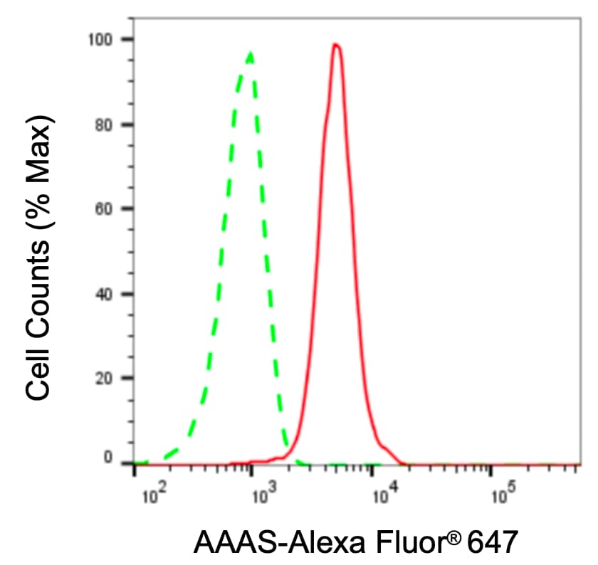 AAAS Antibody (24GB8035)