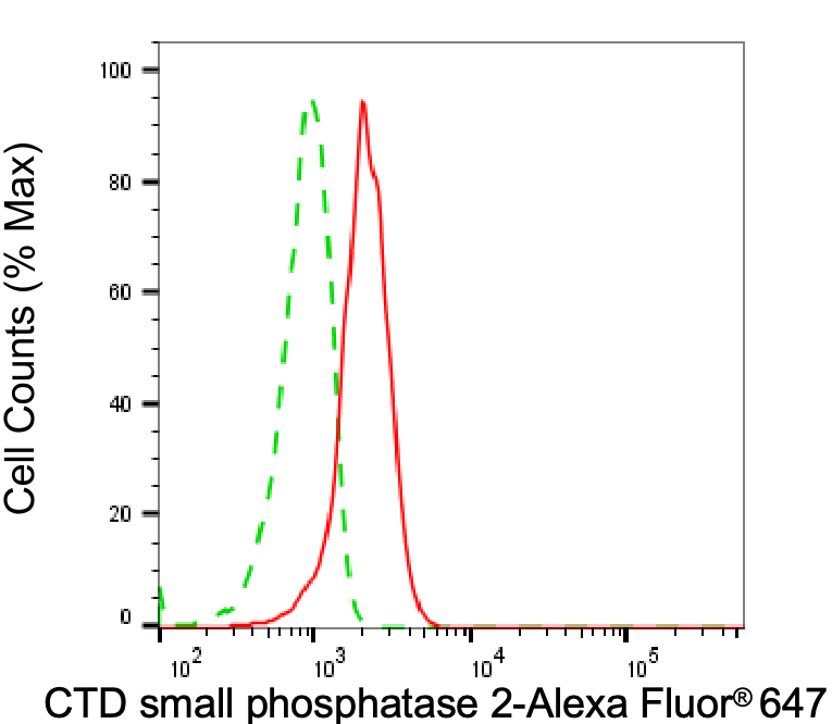 CTDSP2 Antibody (24GB8045)