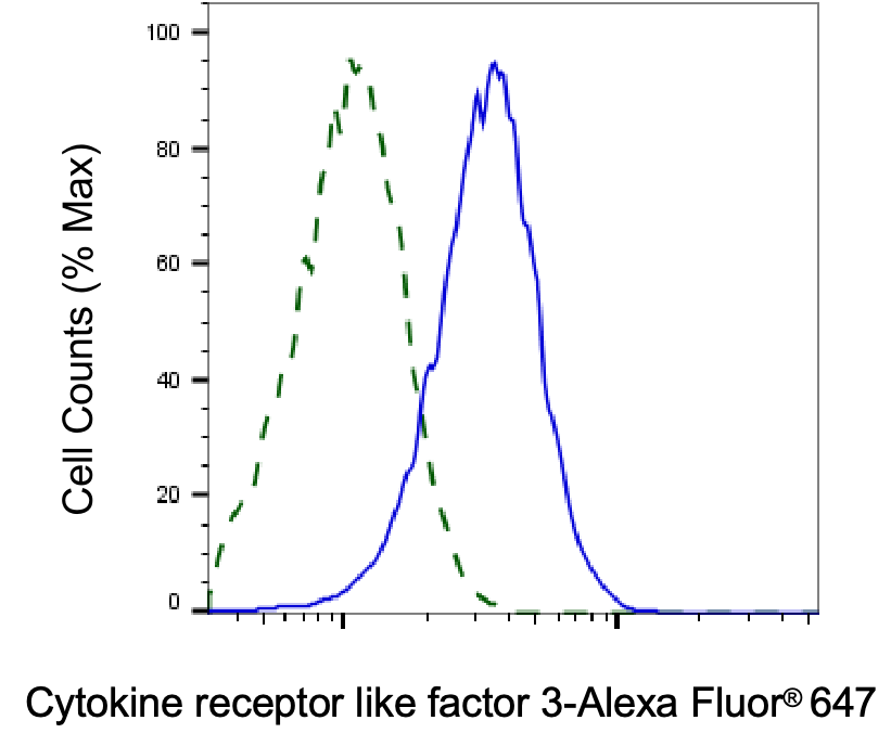 CRLF3 Antibody (24GB8105)