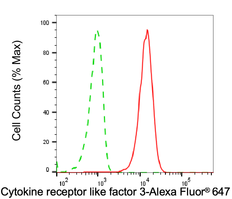 CRLF3 Antibody (24GB8105)