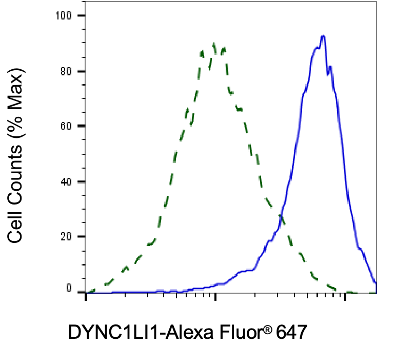 DYNC1LI1 Antibody (24GB8110)