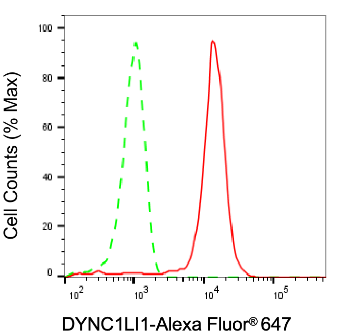 DYNC1LI1 Antibody (24GB8110)
