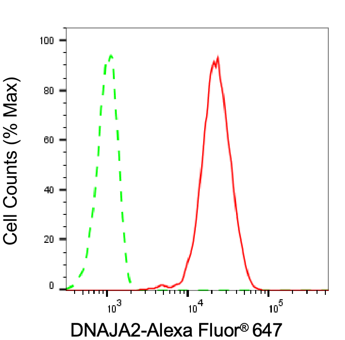 DNAJA2 Antibody (24GB8120)