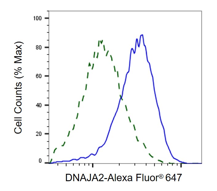 DNAJA2 Antibody (24GB8120)