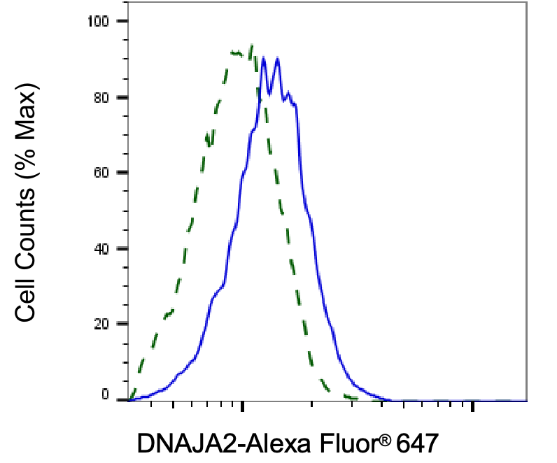 DNAJA2 Antibody (24GB8125)