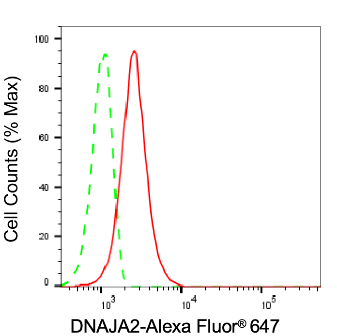DNAJA2 Antibody (24GB8125)