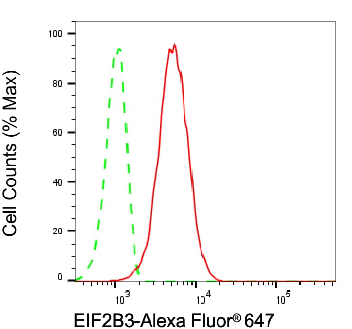 eIF2B3 Antibody (24GB8150)