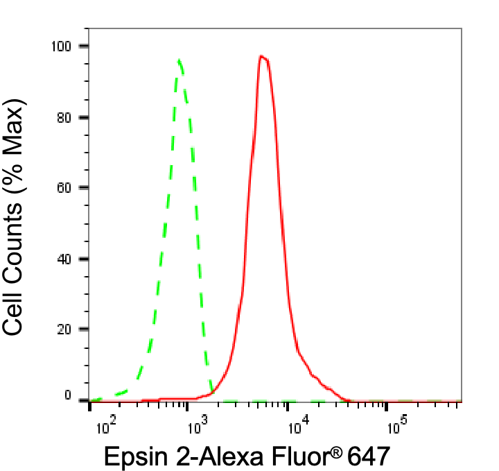 Epsin-2 Antibody (24GB8190)