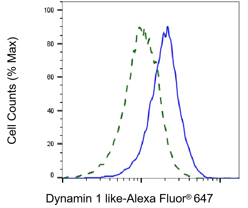 DRP1 Antibody (24GB8215)
