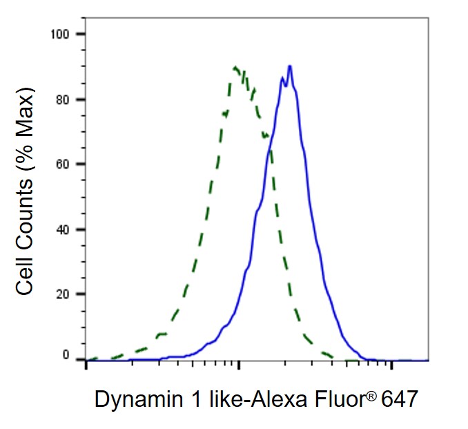 DRP1 Antibody (24GB8215)