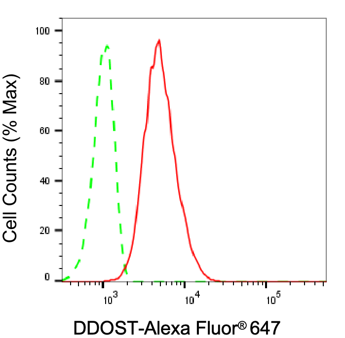 DDOST Antibody (24GB8235)