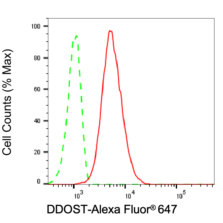 DDOST Antibody (24GB8240)