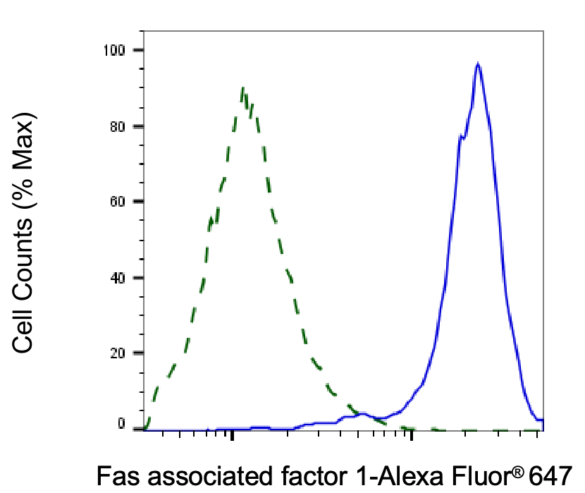 FAF1 Antibody (24GB8245)
