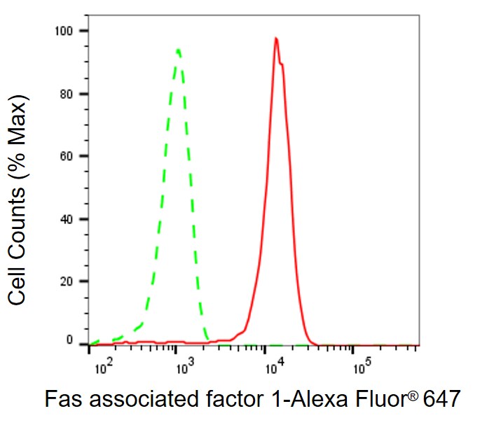 FAF1 Antibody (24GB8245)