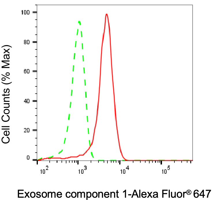 Exosome component 1 Antibody (24GB8290)