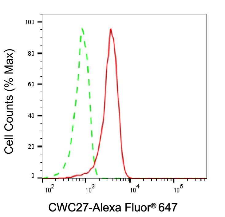 SDCCAG10 Antibody (24GB8300)