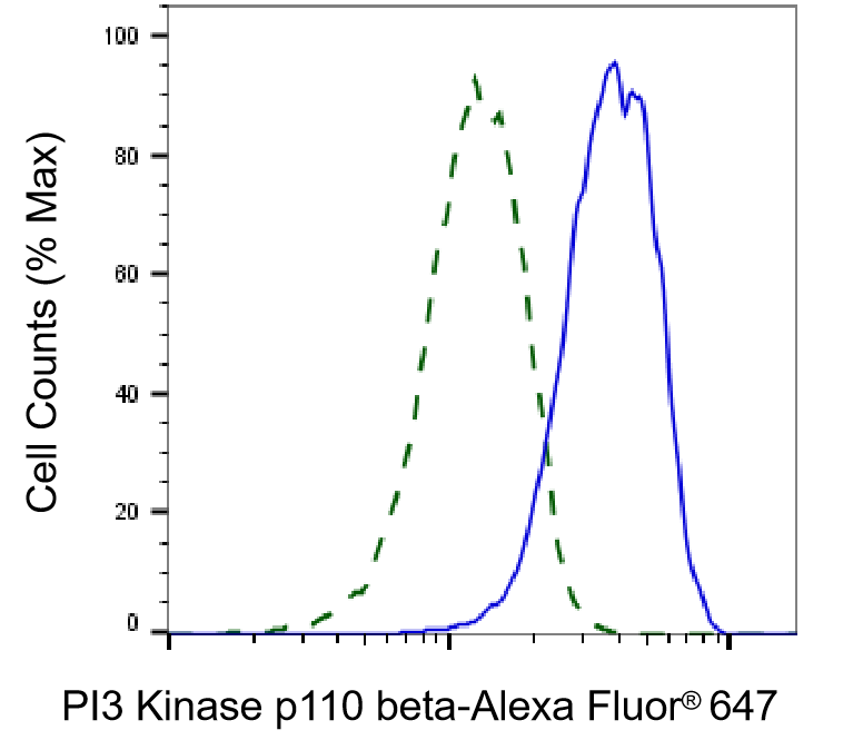 PI 3-Kinase p110 beta/PIK3CB Antibody (23GB1035)