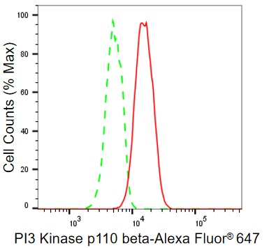 PI 3-Kinase p110 beta/PIK3CB Antibody (23GB1035)