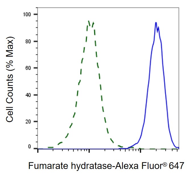 Fumarase Antibody (24GB13010)