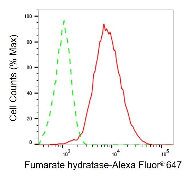 Fumarase Antibody (24GB13010)
