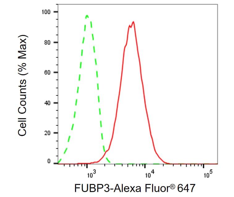 FUBP3 Antibody (24GB13150)