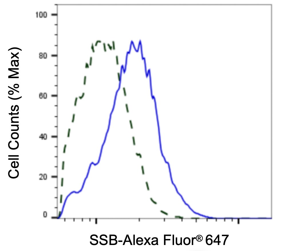 SSB Antibody (24GB13175)