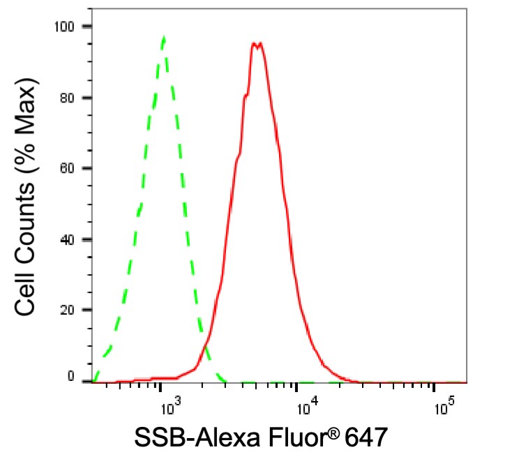 SSB Antibody (24GB13175)