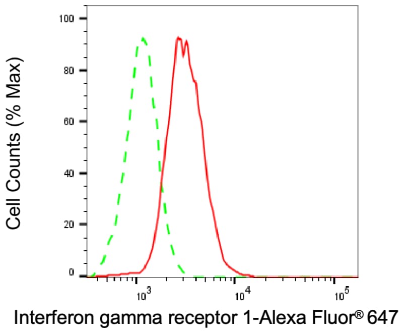 IFN-gamma R1/CD119 Antibody (24GB13660)