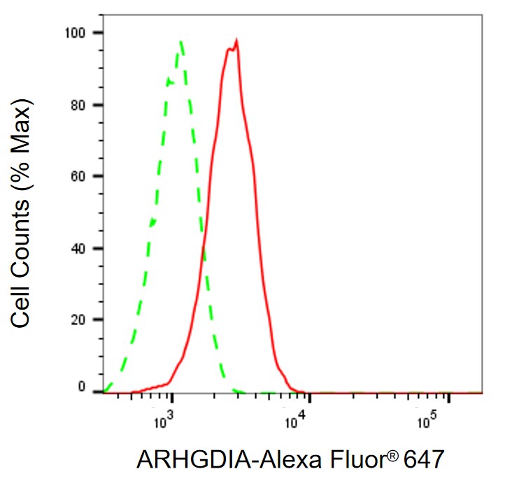 RhoGDI Antibody (24GB13725)