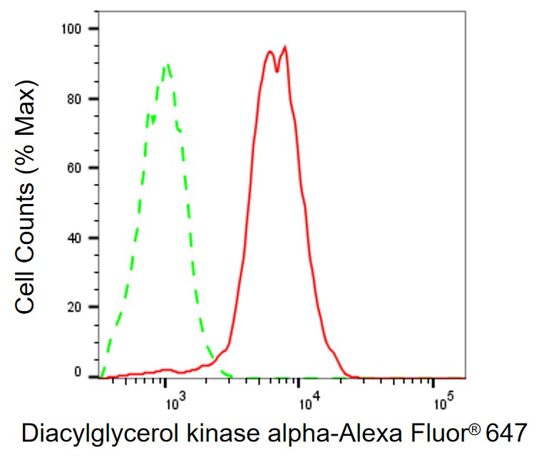 DGK-alpha Antibody (24GB13775)