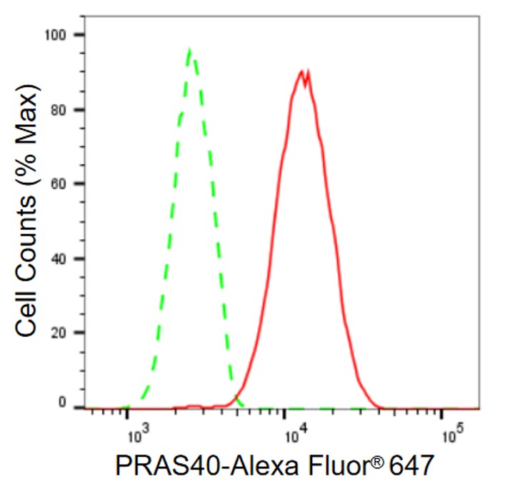 PRAS40 Antibody (23GB645)