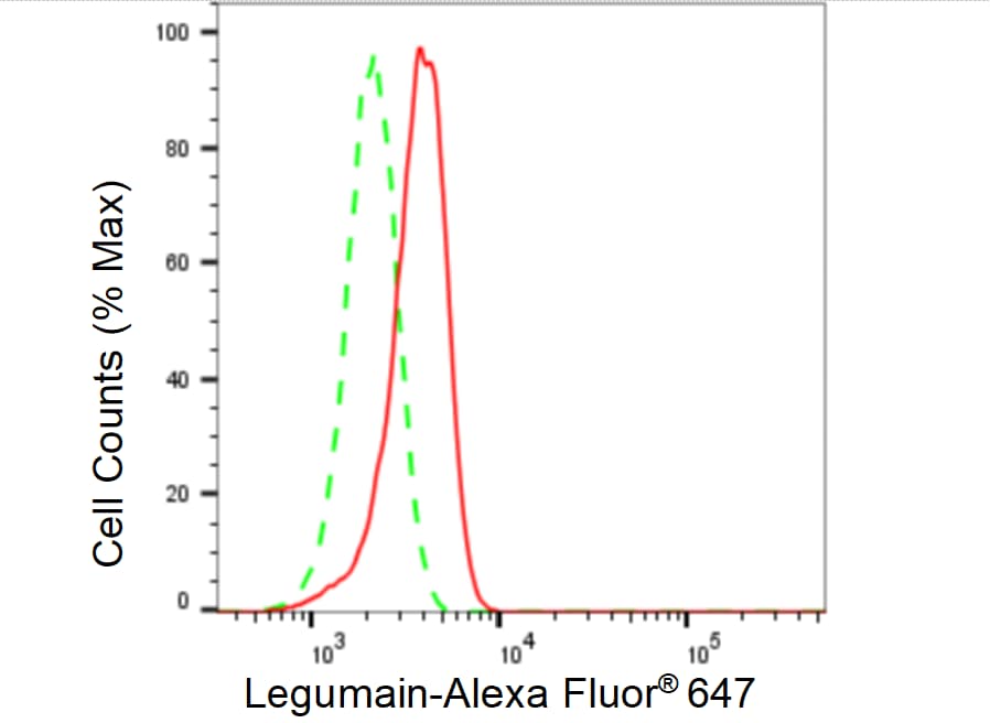 Legumain/Asparaginyl Endopeptidase Antibody (23GB2095)