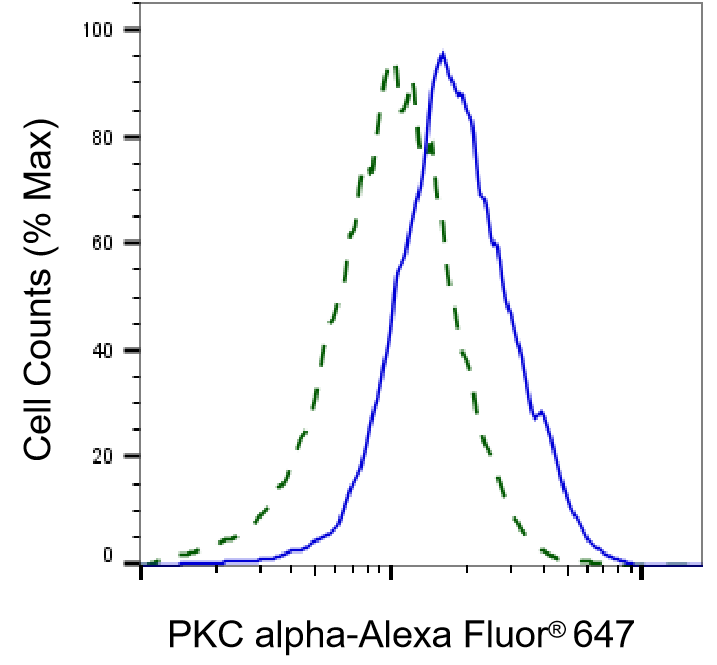 PKC alpha Antibody (23GB1690)