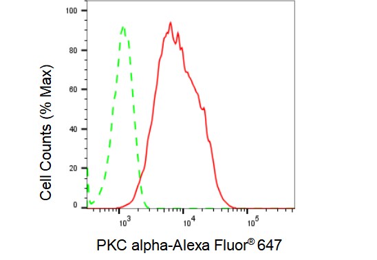 PKC alpha Antibody (23GB1690)