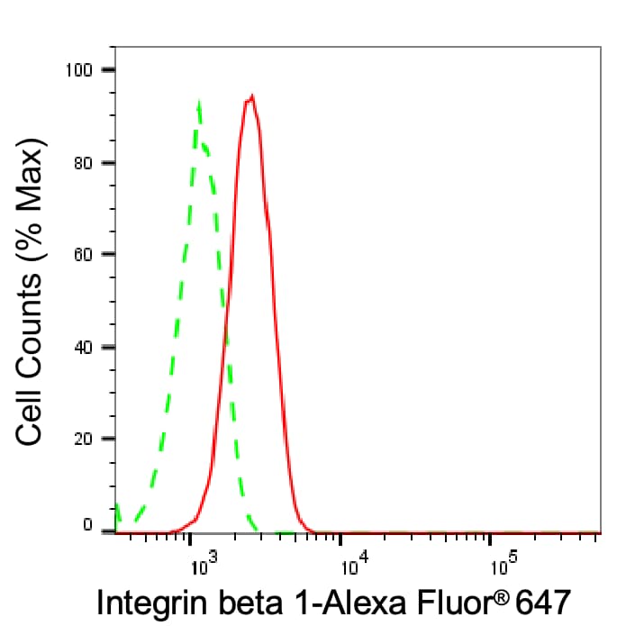 Integrin beta 1/CD29 Antibody (23GB890)