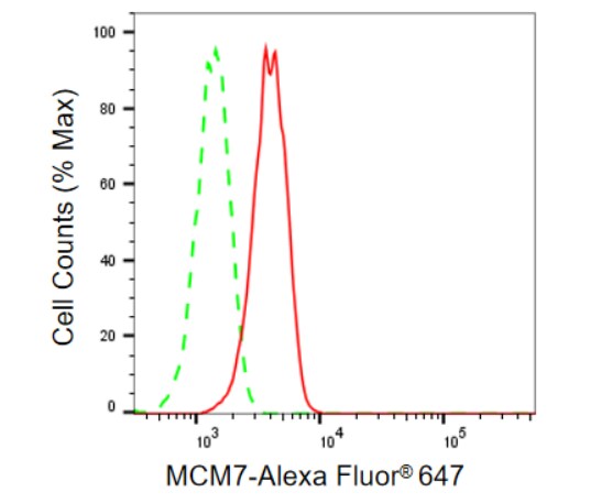 MCM7 Antibody (23GB1095)