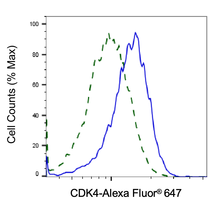 CDK4 Antibody (23GB750)